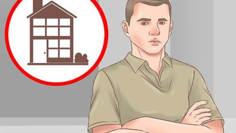 How to Choose a Second Dog