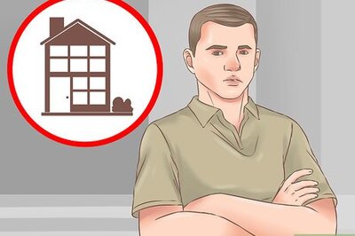 How to Choose a Second Dog