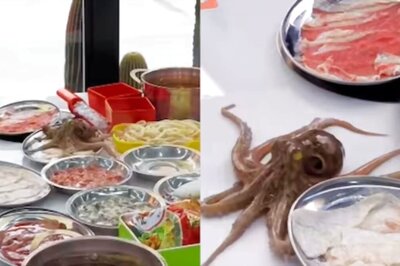 Video Of An Octopus Crawling Out Of A Seafood Platter Leaves Internet Disgusted