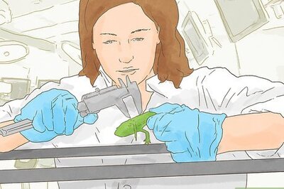 How to Become a Herpetologist