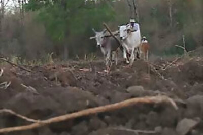 Farmer commits suicide in Kashmir