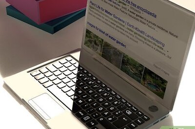 How to Make a Water Garden