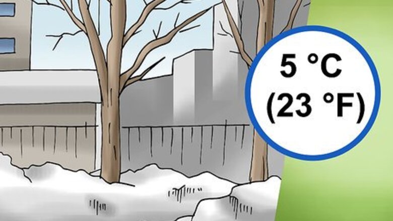 How to Visit Chernobyl