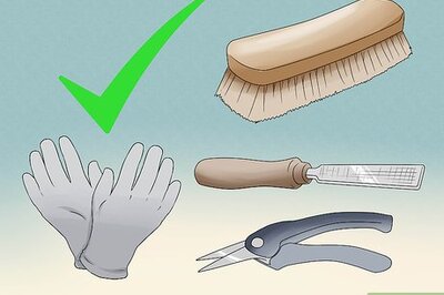 How to Trim Goat Hooves