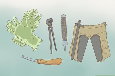 How to Trim Horse Hooves