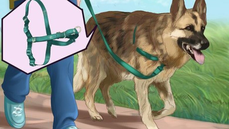 How to Teach Your Dog "On By"
