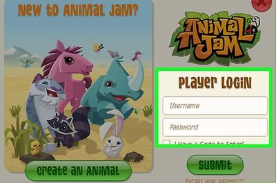 How to Play Jamaa Derby on Animal Jam