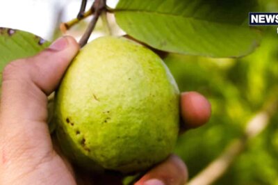 Rare And Interesting Facts About Everyone’s Favourite Guava