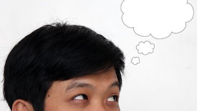 How to Raise a Labrador Retriever