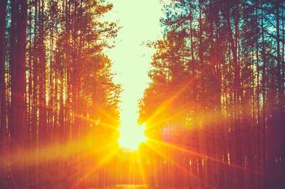 Aaj Ka Panchang, February 20, 2024: Tithi, Vrat, and Today’s Shubh, Ashubh Muhurat