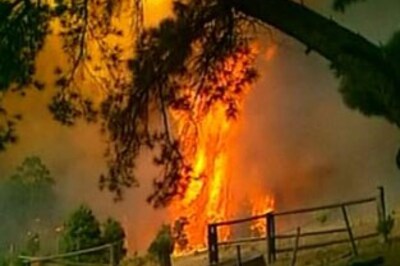 Australia wildfires claims 96 lives