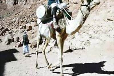 88-year-old becomes father, wants more