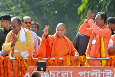 Special Arrangement For Stray Cows, Dogs, Monkeys at Every Nagar Nigam: Yogi