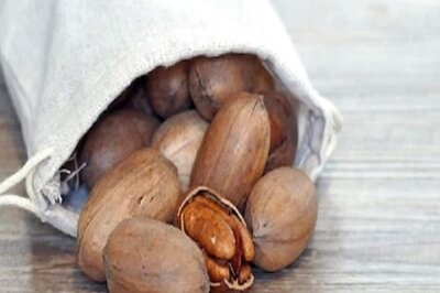 Consume Pecan Nuts to Boost Immunity, Ward off Diseases