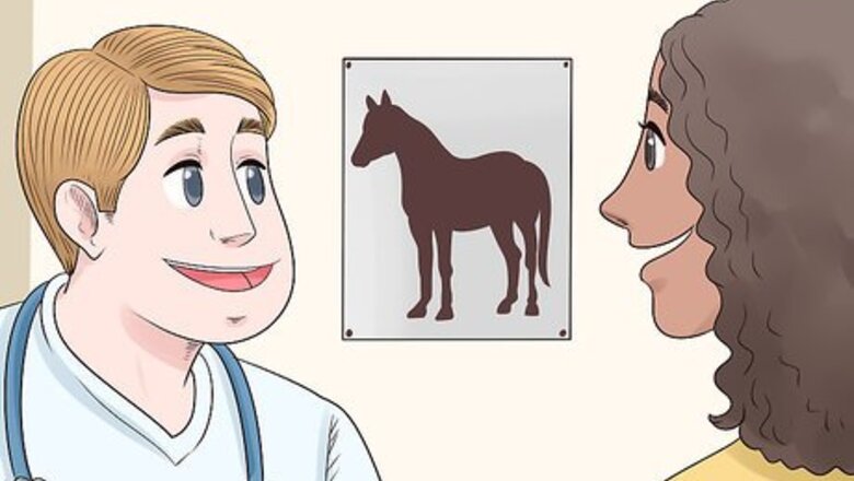 How to Treat Arthritis in Horses