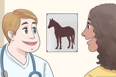 How to Treat Arthritis in Horses