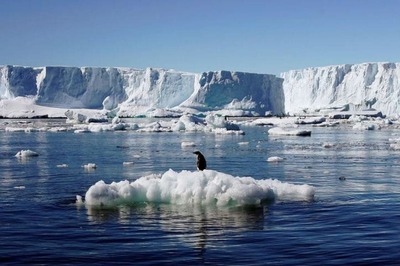 Plans for World's Largest Ocean Sanctuary in Antarctic Blocked