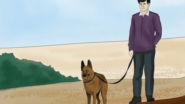 How to Avoid Losing Your Dog