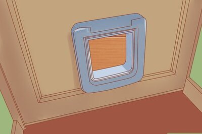 How to Get a Litter Trained Cat to 