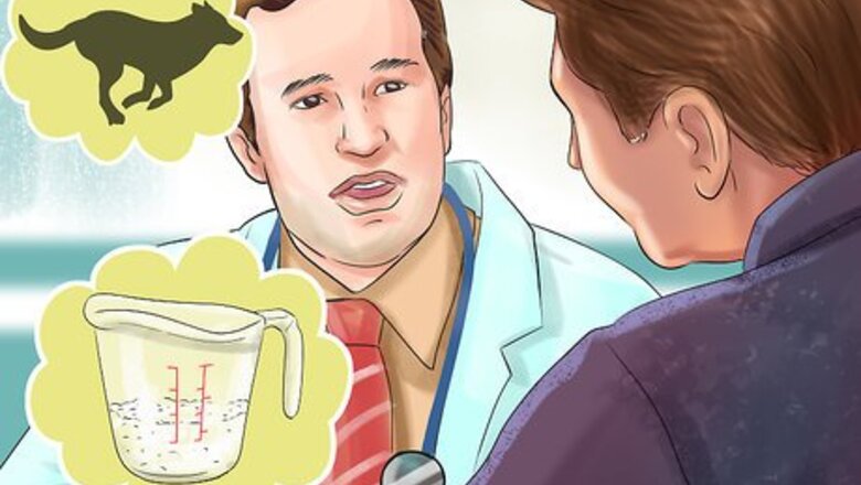How to Choose Food for Your Border Collie