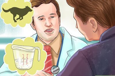 How to Choose Food for Your Border Collie