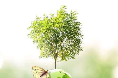 Harnessing Green Hydrogen: NITI Aayog & RMI Report Details Roadmap to Become Global Leader