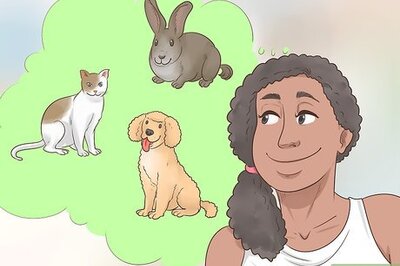 How to Adopt a Pet from a Shelter