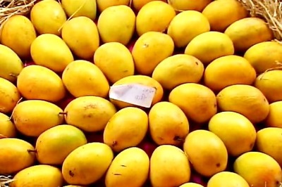 Agriculture Minister discusses EU mango ban issue with British High Commissioner