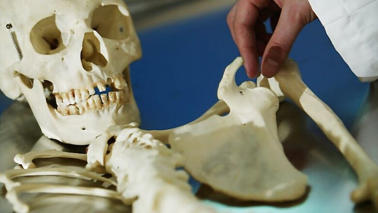 The King of Travancore Got a Human Skeleton Carved Out of Ivory in 1853