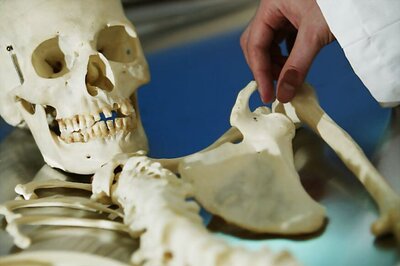 The King of Travancore Got a Human Skeleton Carved Out of Ivory in 1853