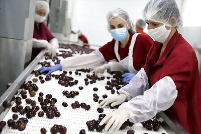 Bosnia's Fruit Growers Prove Resilient Amid Pandemic Downturn