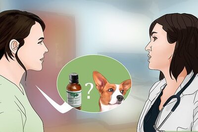 How to Control Fleas by Using Peppermint