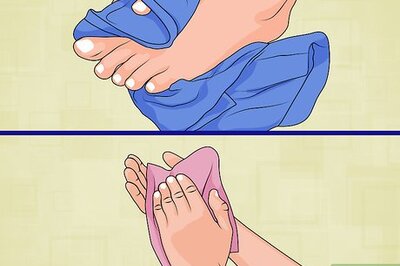 How to Climb a Palm Tree