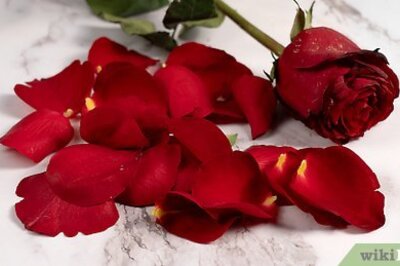 How to Turn Dried Rose Petals into Beautiful Beads