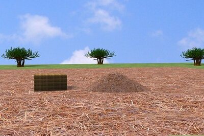 How to Make a Straw Broom