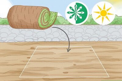 How to Plant a St Augustine Sod