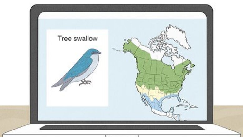 How to Attract Tree Swallows