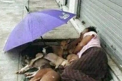 IFS Officer Shares 'Heartwarming' Photo of Man Providing Shelter to Stray Dogs on His Tiny Mattress