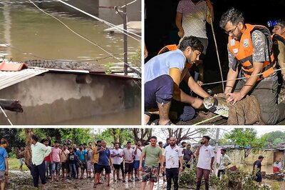 In Viral Videos From Gujarat, Crocodiles Invade Flooded Streets In Residential Areas, Prey On Dogs