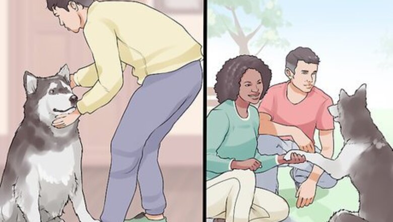 How to Introduce Your New Dog to the Neighbors