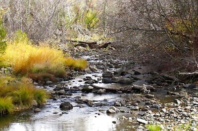Climate Change Disrupting Natural Cycles At Drier Lake Tahoe