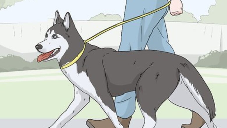 How to Calm a Dog That's Left Alone