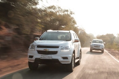 Indian Engineers Invent Alert System to Detect Cows on Roads, Avoid Collision