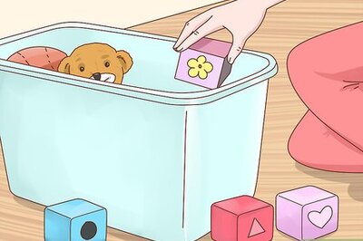 How to Take Care of a Blind Cat