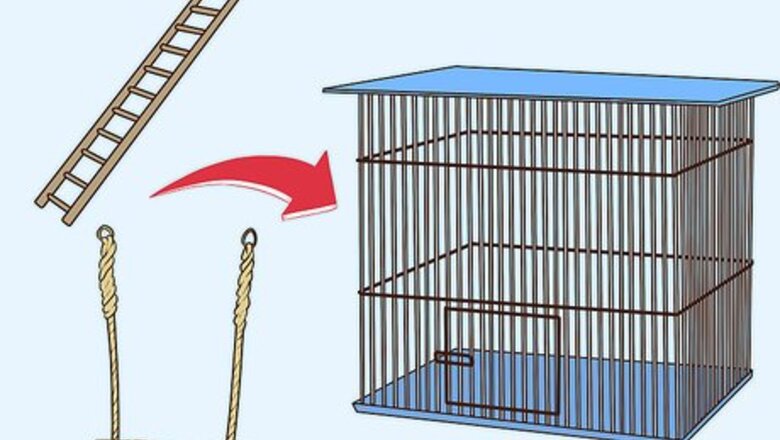 How to Entertain a Quaker Parrot