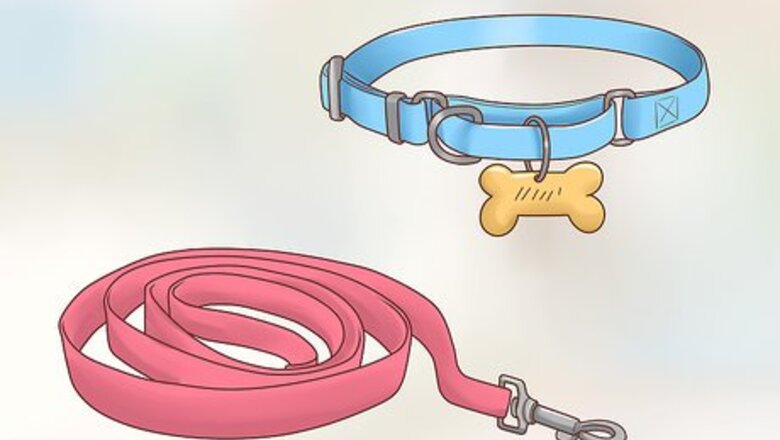 How to Care for a Border Collie