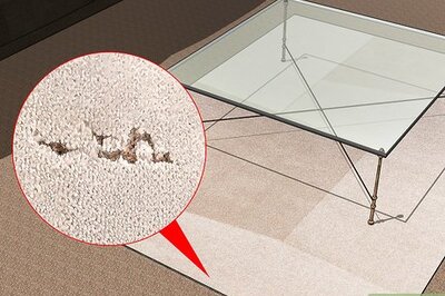 How to Get Rid of Carpet Beetles