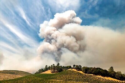 Wildfires Again Threaten Business In California Wine Country