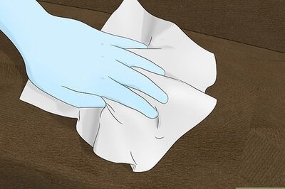 How to Clean Pee Off a Couch