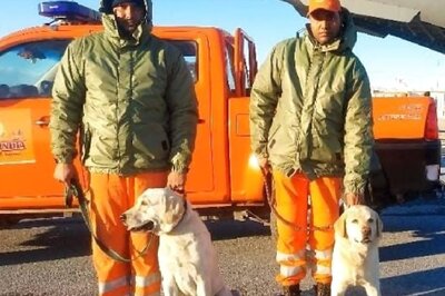 Romeo, Julie & a Pawsome Rescue Story: Turkey Kid Found Alive After 80 Hrs Under Rubble | Exclusive